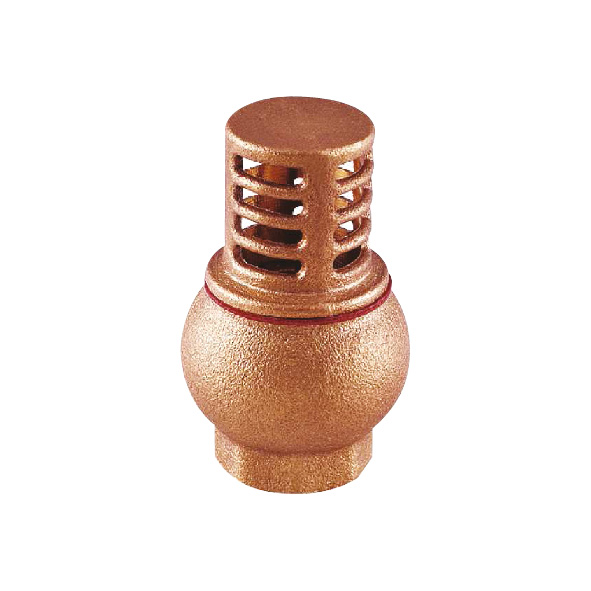 Bronze Foot Valve