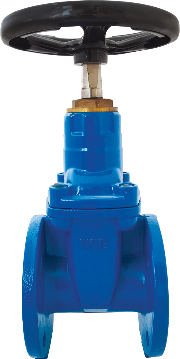 Gate Valve NRS Flanged Ends – Resilient Seated