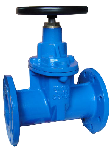 Resilient Seated Gate Valve BS 5163