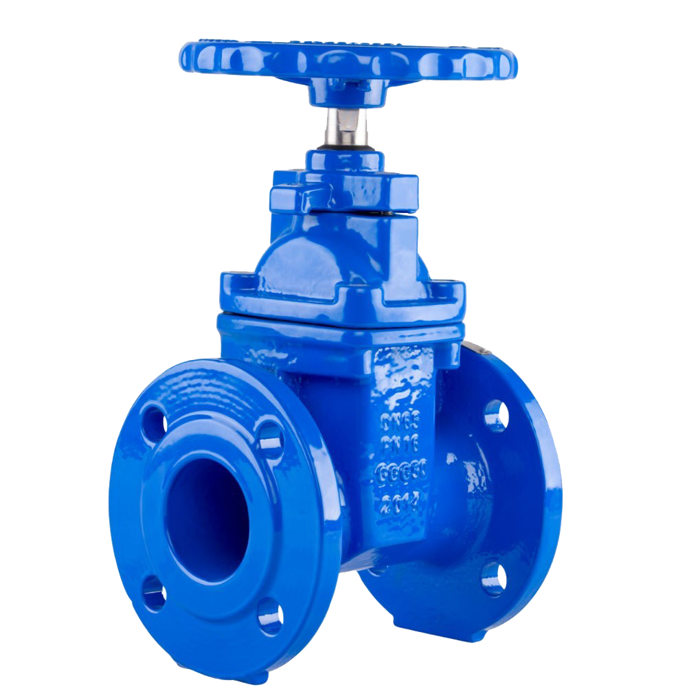 Resilient Seated Gate Valve F4
