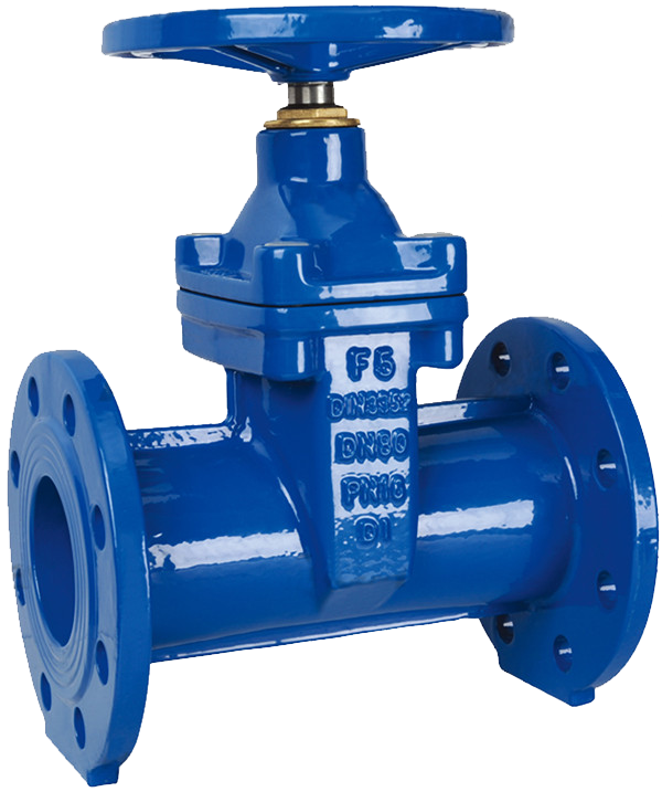 Resilient Seated Gate Valve F5