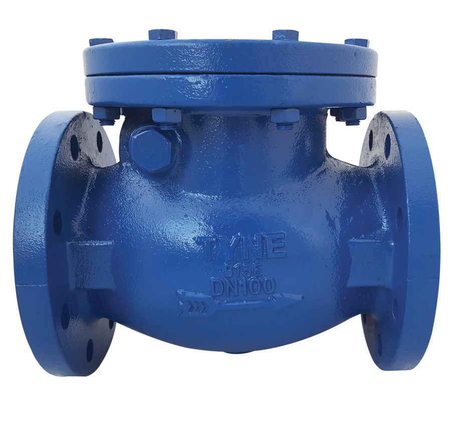 Swing Check Valve – Flanged End