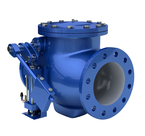 Swing Check Valve